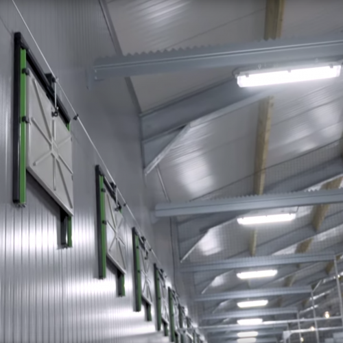 Free range poultry house full of innovations with Lumina 38 climate controller