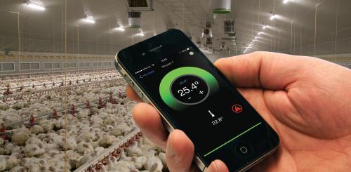 Infinia Remote App - Poultry