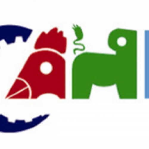 Cahe-logo.png